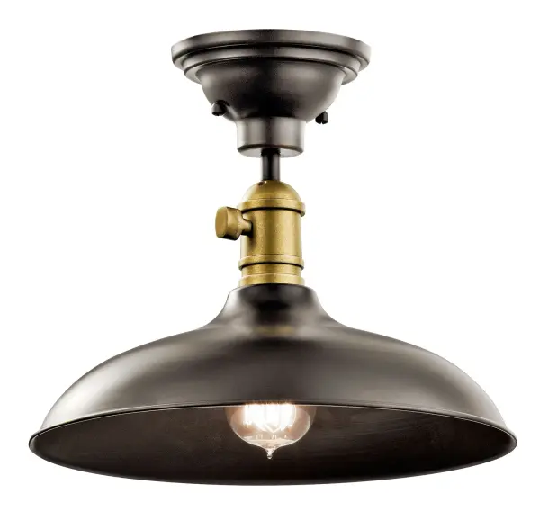 Cobson 1-Light Convertible Pendant - Image 1