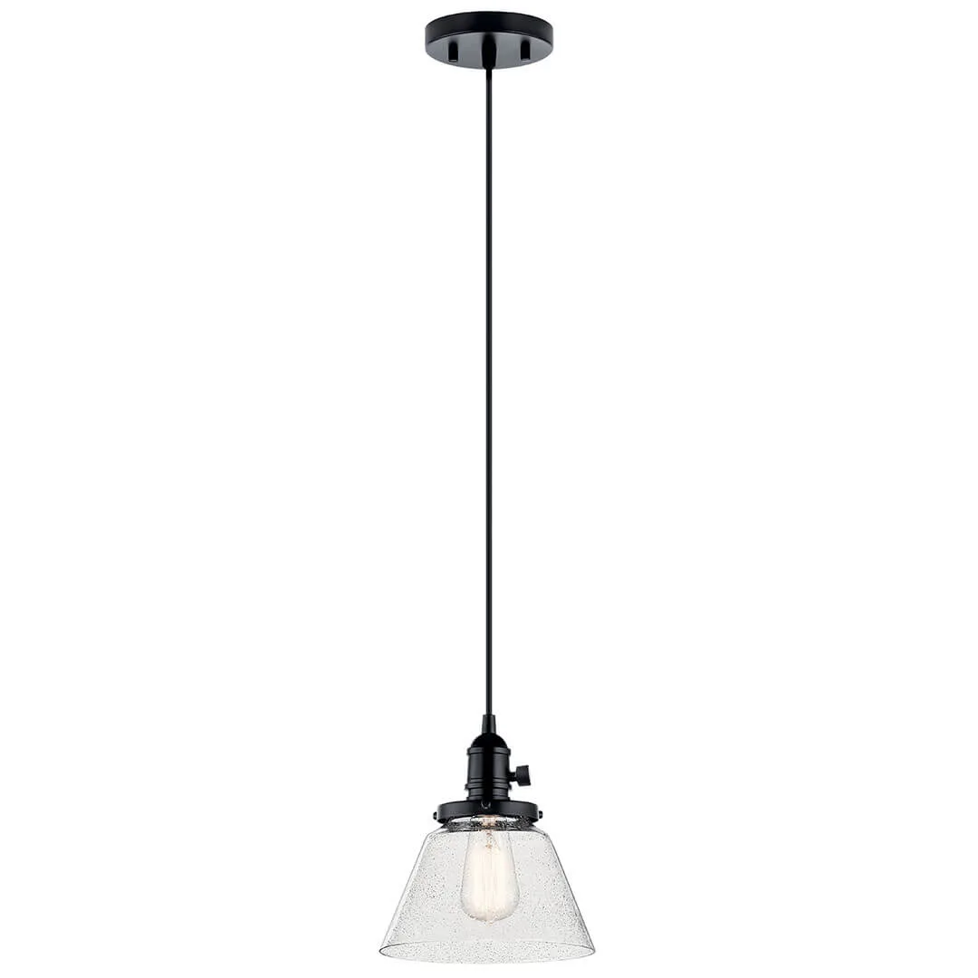 Model 43851BK