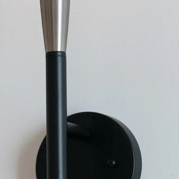 Branches 2-Light Wall Sconce in Black - Image 4