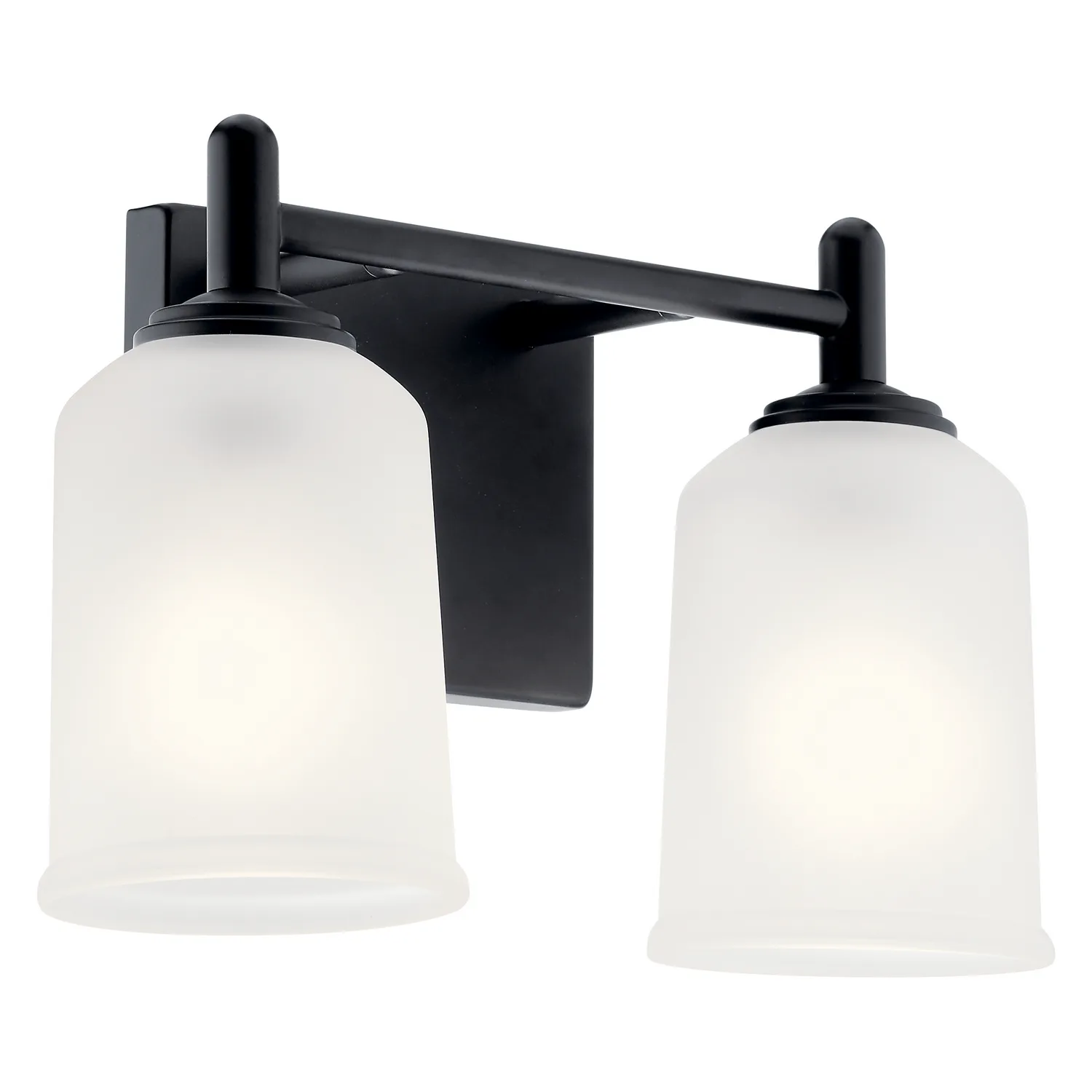Shailene 2-Light Vanity Light in Black