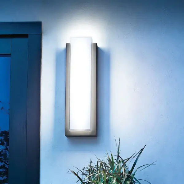 Dahlia 2-Light Outdoor Wall Light - Image 3