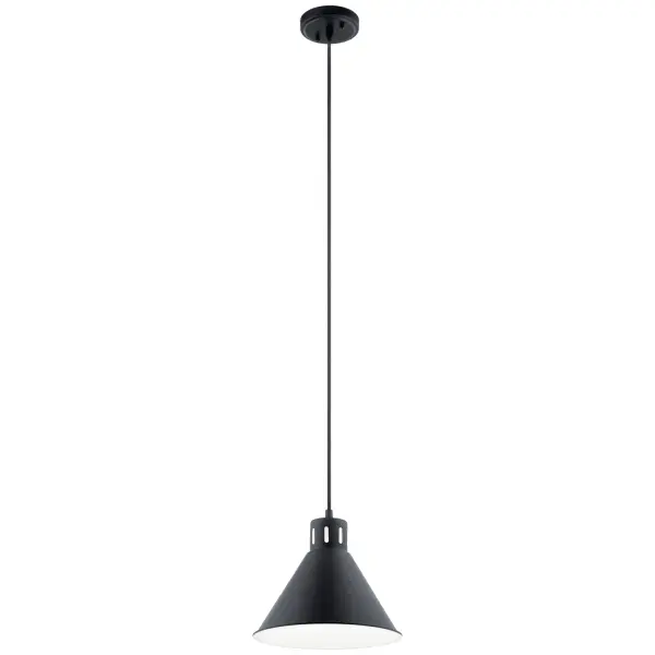 Zailey One Light Pendant in Black