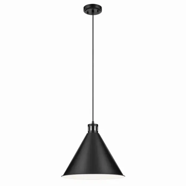 Zailey One Light Pendant in Black