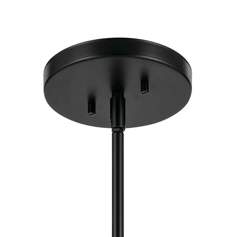 Tolani 4-Light Chandelier in Black - Image 4