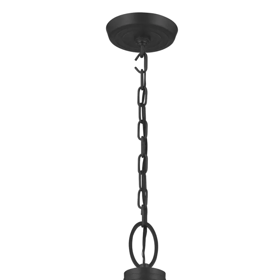 Topiary 6-Light Chandelier in Textured Black - Image 4