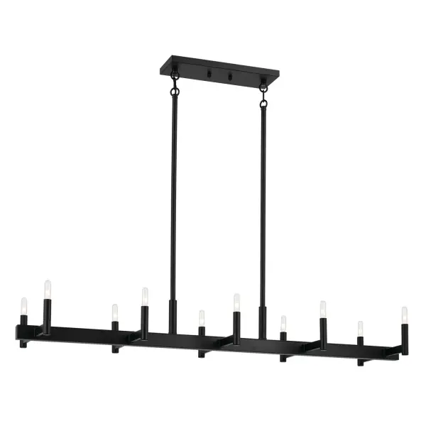 Erzo 10-Light Linear Chandelier in Black