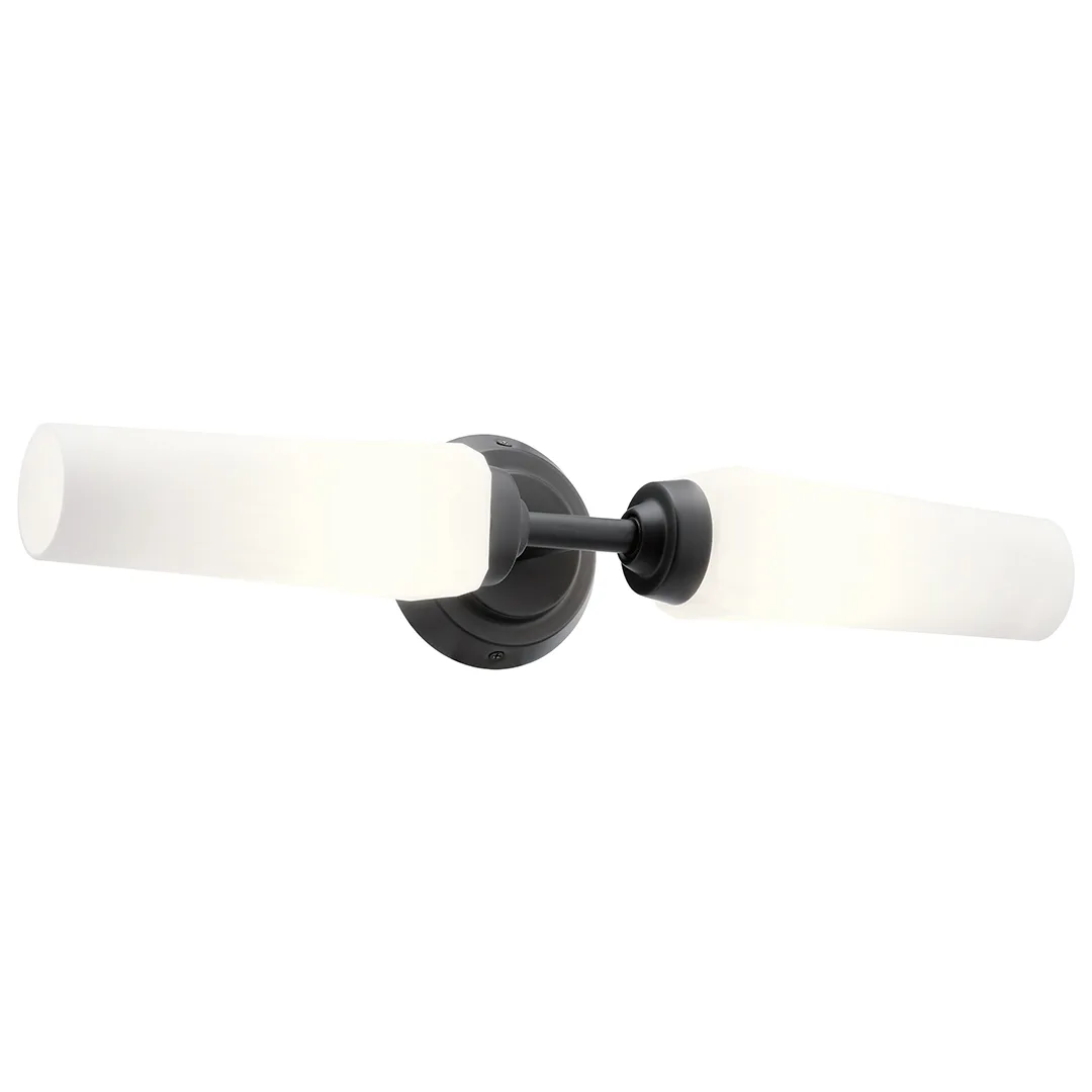 Truby 2-Light Vanity Light in Black