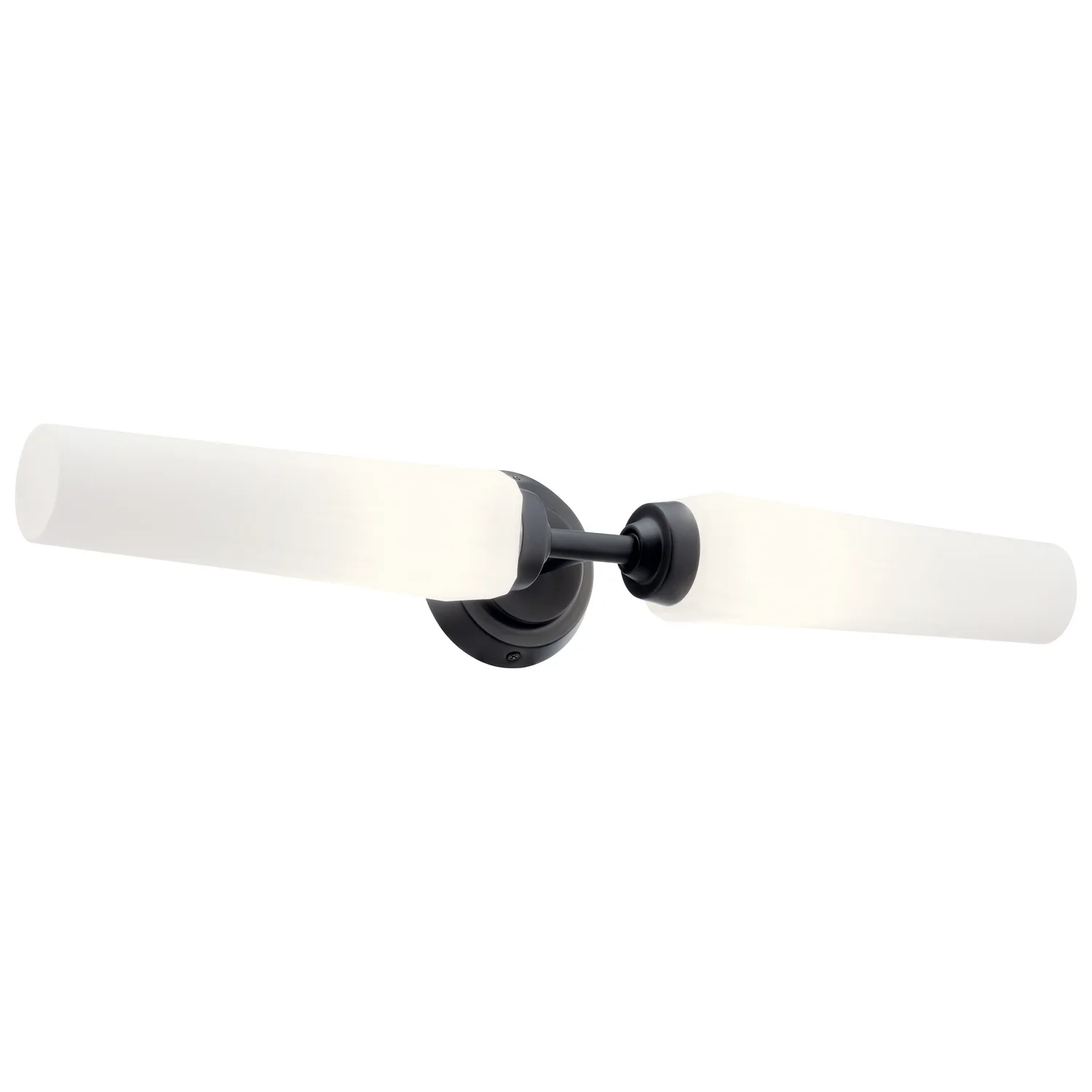 Truby 2-Light Vanity Light in Black