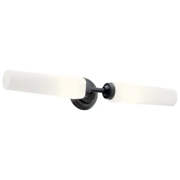 Truby 2-Light Vanity Light in Black