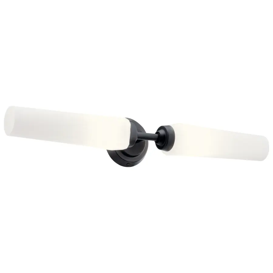 Truby 2-Light Vanity Light in Black