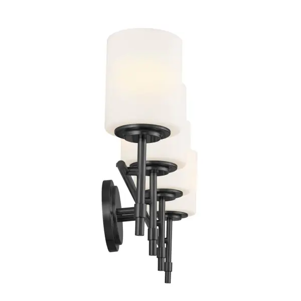 Ali 4-Light Vanity Light in Black - Image 4