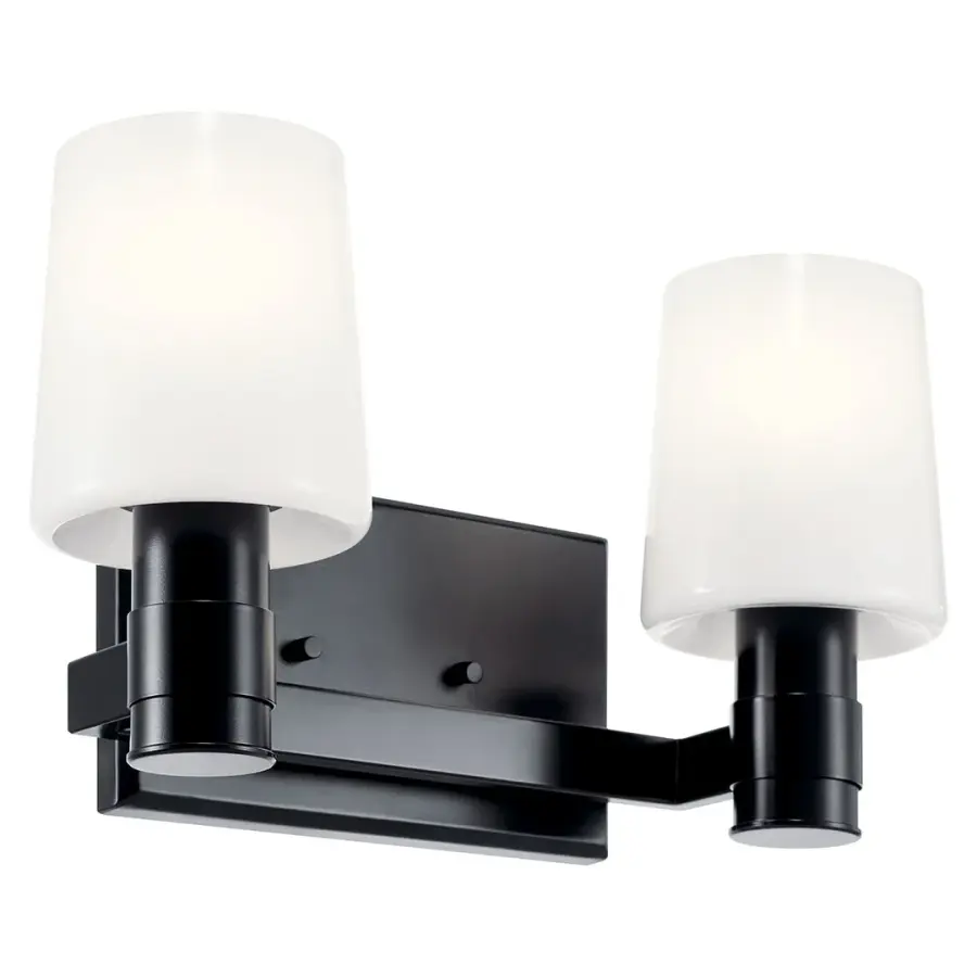 Adani 2-Light Vanity Light in Black - Image 1