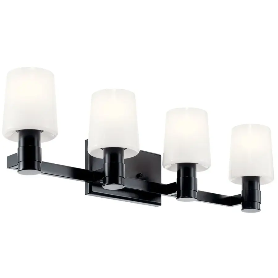 Adani 4-Light Vanity Light in Black - Image 1