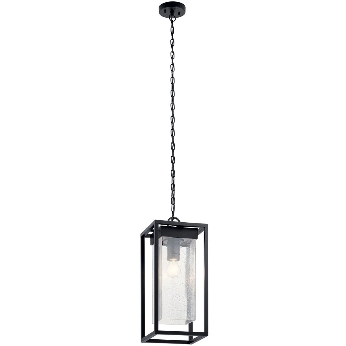 Mercer Outdoor Pendant Light in Black with Silver Highlights