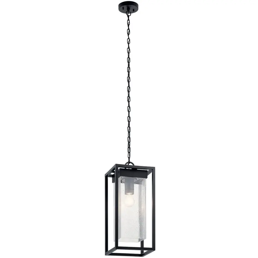 Mercer Outdoor Pendant Light in Black with Silver Highlights