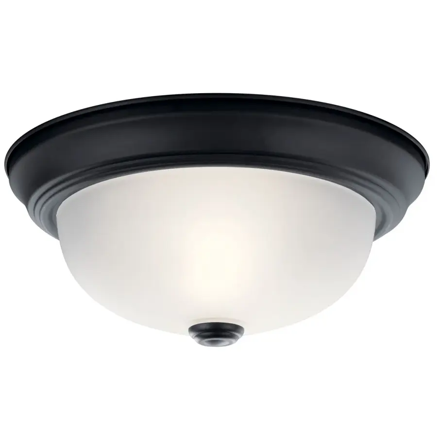 2-Light Flush Mount Ceiling Light