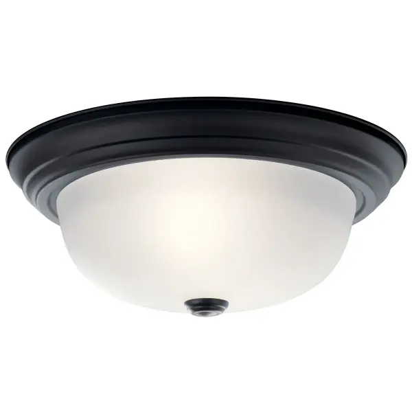 A practical 2-light flush mount fixture offering reliable illumination in a compact profile. The clear satin etched glass diffuses light evenly while the black finish provides versatile styling for budget-conscious projects.