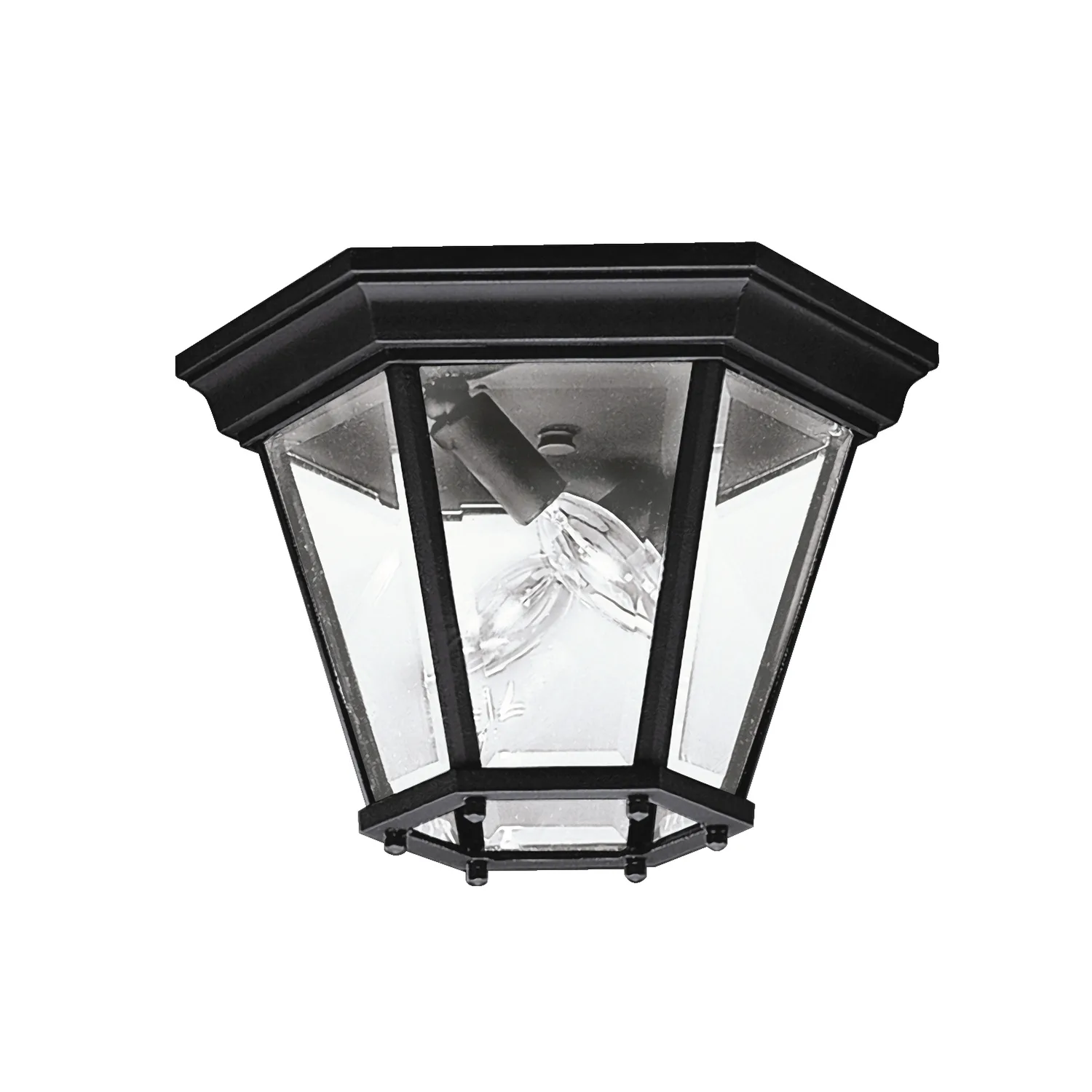 Madison Two Light Outdoor Flush Mount in Black