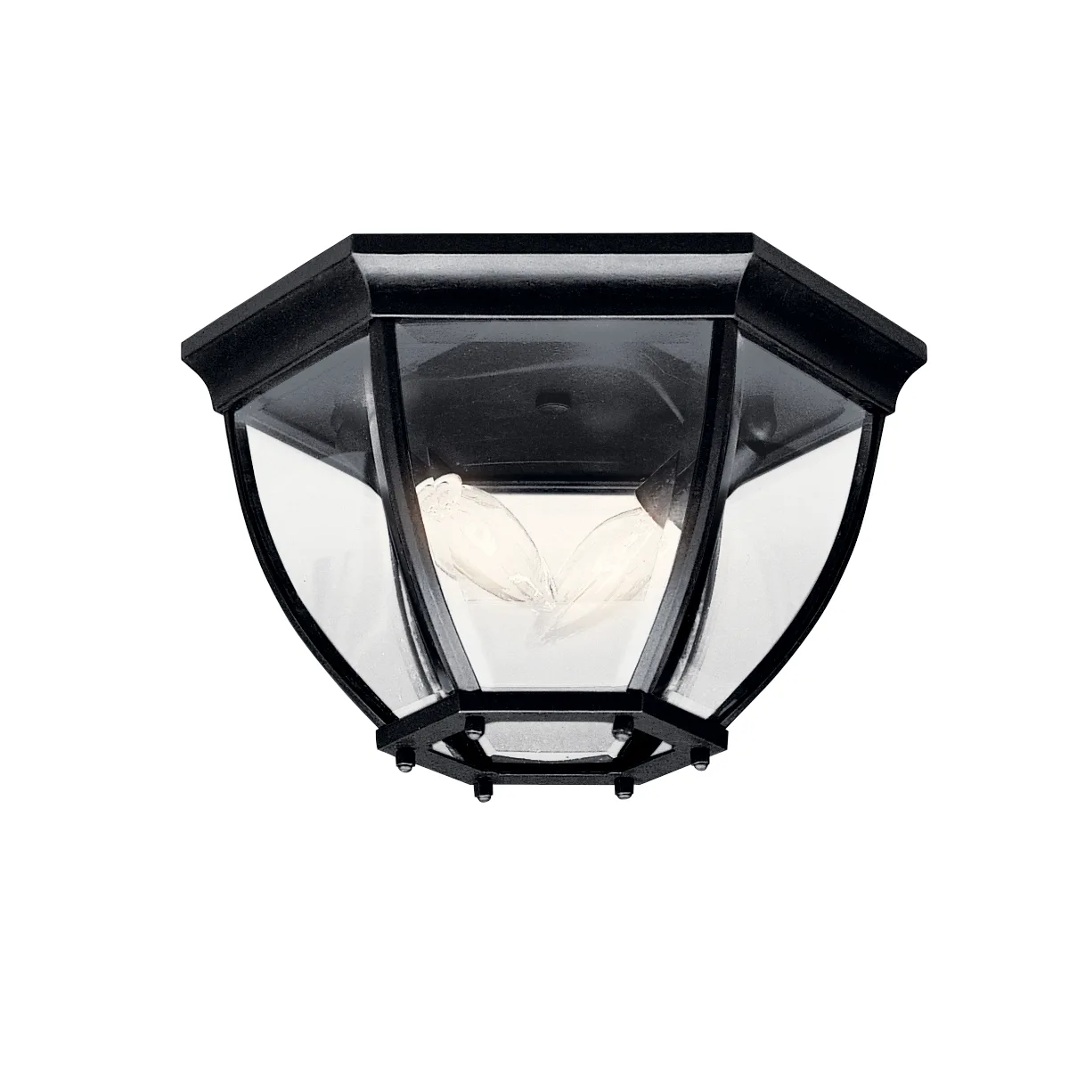 Two Light Outdoor Flush Mount in Black
