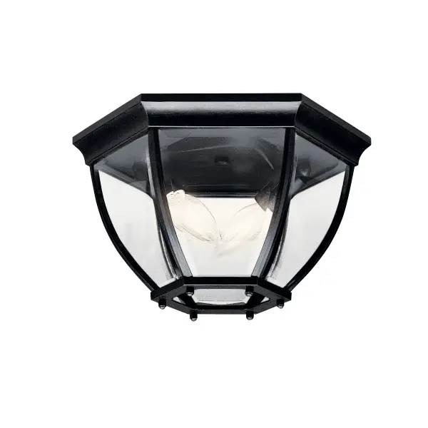 Two Light Outdoor Flush Mount in Black