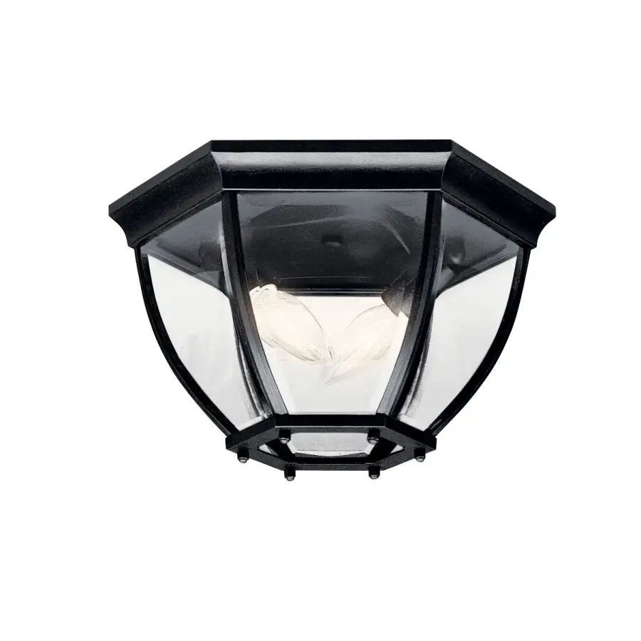 Two Light Outdoor Flush Mount in Black