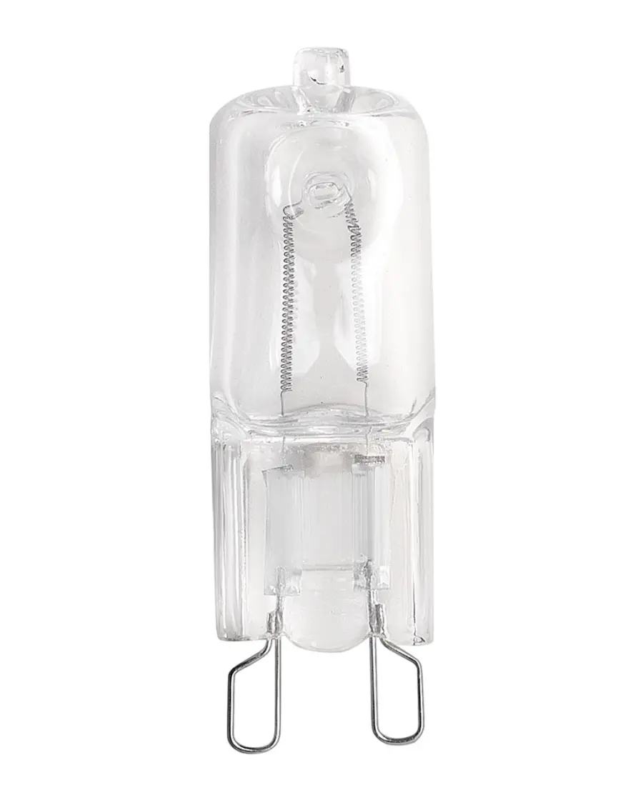 60W Incandescent Light Bulb