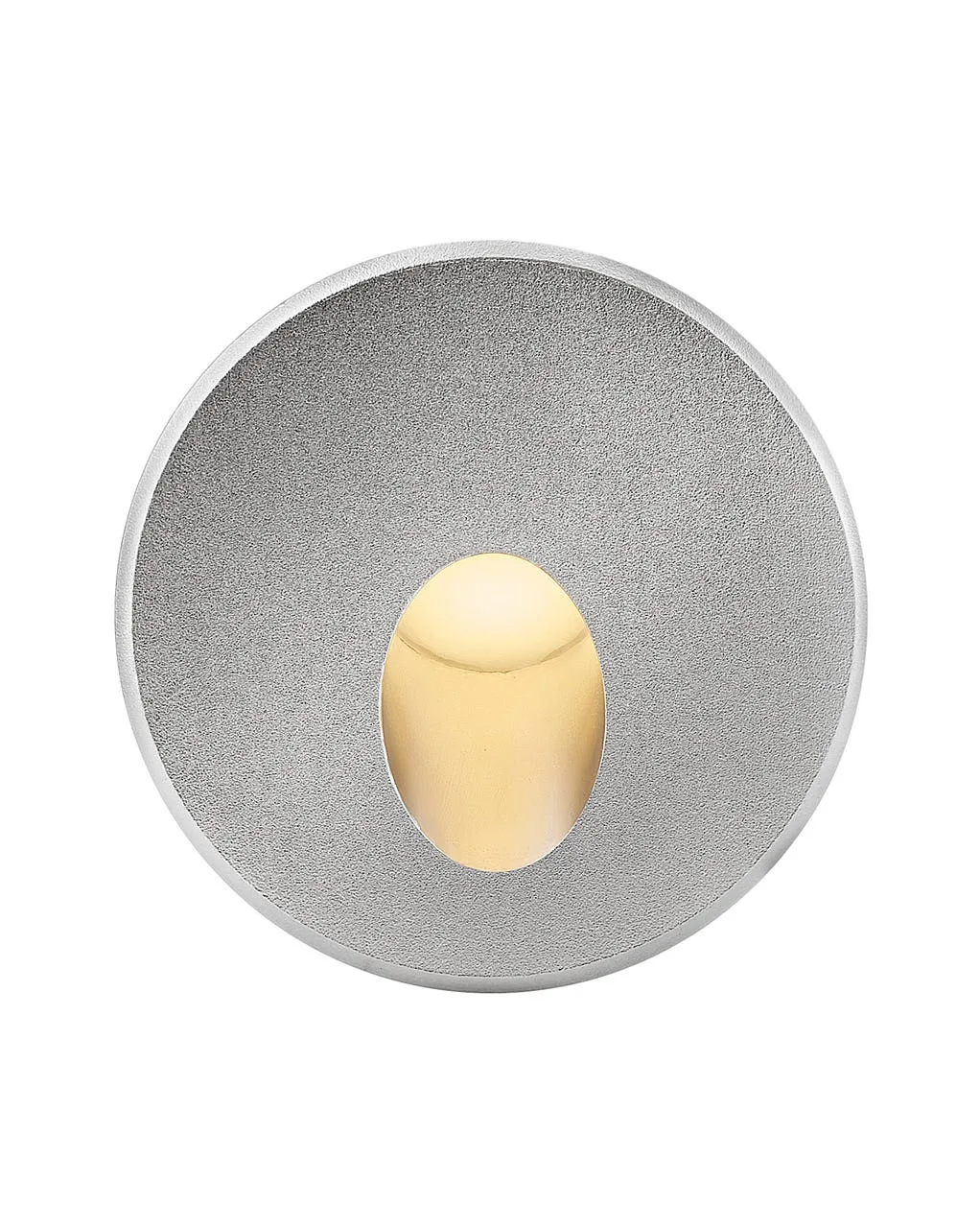 Tilt LED Wall Mount in Stainless Steel