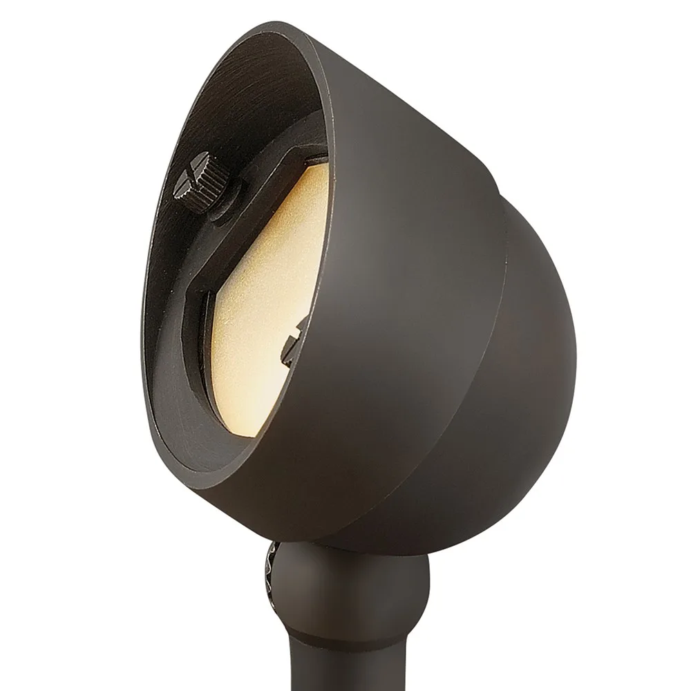 Hardy Island LED Accent Spot Light in Satin Black Brass