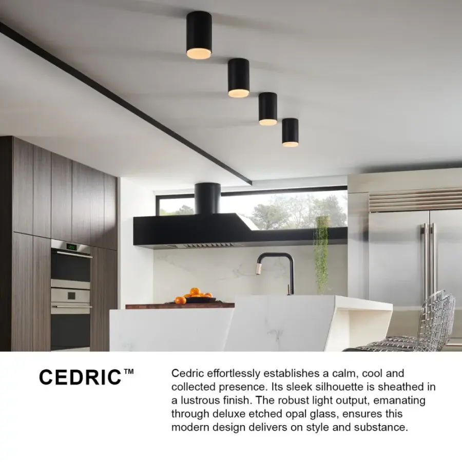 Cedric LED Flush Mount in Black - Image 4