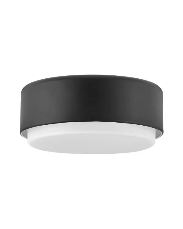 Cedric effortlessly establishes a calm, cool and collected presence. Its sleek silhouette is sheathed in a lustrous finish. The robust light output, emanating through deluxe etched opal glass, ensures this modern design delivers on style and substance.