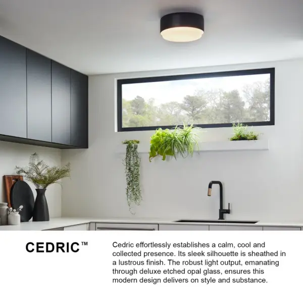 Cedric LED Flush Mount in Black - Image 3