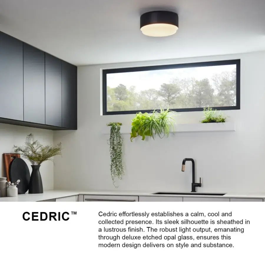 Cedric LED Flush Mount in Black - Image 3