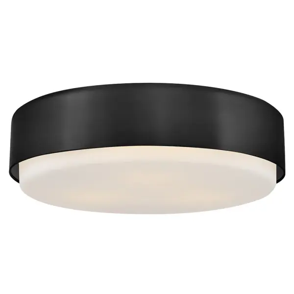 Cedric effortlessly establishes a calm, cool and collected presence. Its sleek silhouette is sheathed in a lustrous finish. The robust light output, emanating through deluxe etched opal glass, ensures this modern design delivers on style and substance.