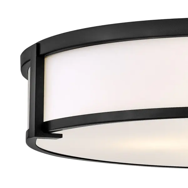 Lowell LED Flush Mount in Black - Image 4