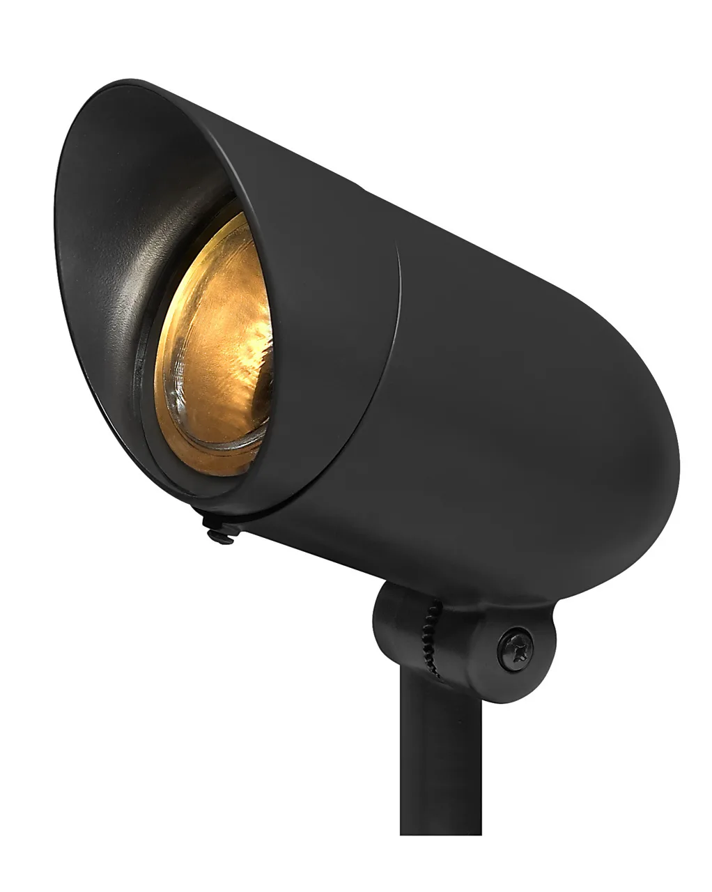 Accent Spot Light LED in Black