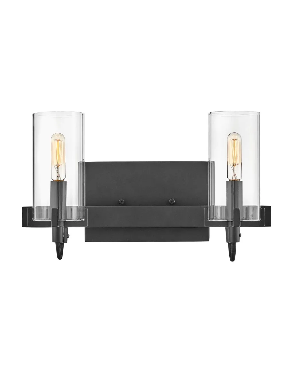 Ryden 2-Light LED Vanity in Black