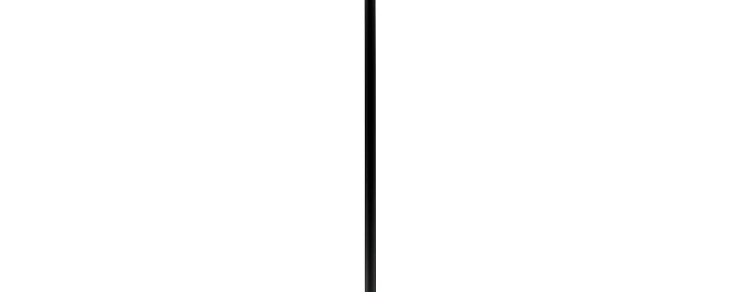 12-Inch Stem Accessory in Black