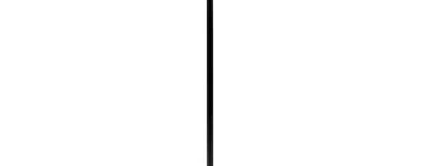 A functional steel stem accessory that extends pendant fixtures by 12 inches, allowing for customized hanging heights. Durable black finish coordinates with modern and traditional fixtures alike.