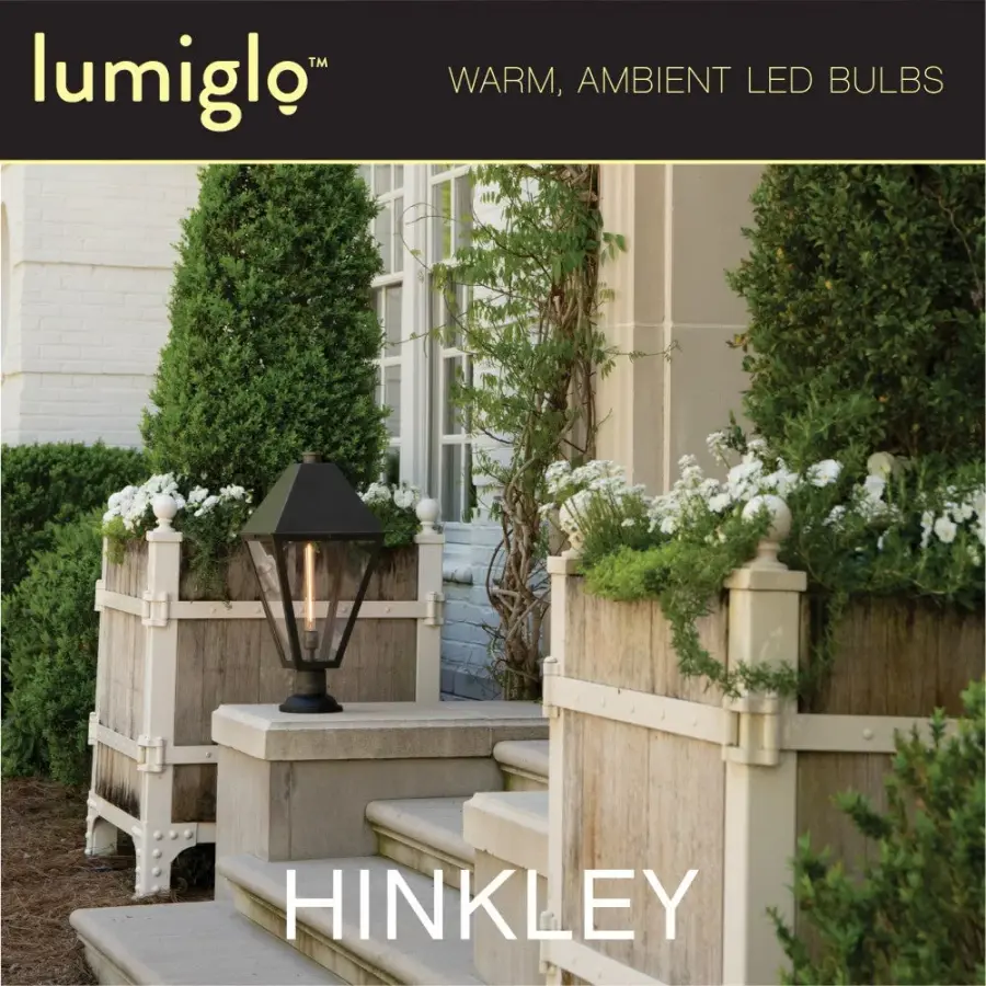 LED Bulb 24 Pack - Image 3