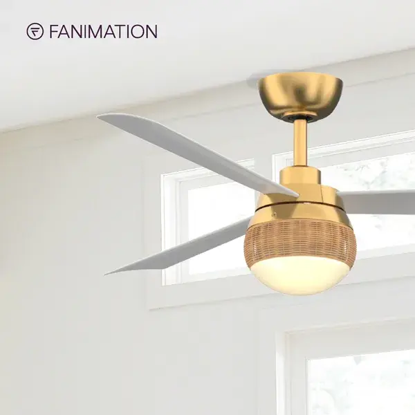 The Paget brings soft contemporary design with natural and textural elements, celebrating Fanimation's 40th anniversary with a return to tropical aesthetics. Features energy-efficient LED lighting and powerful airflow. - alternate view