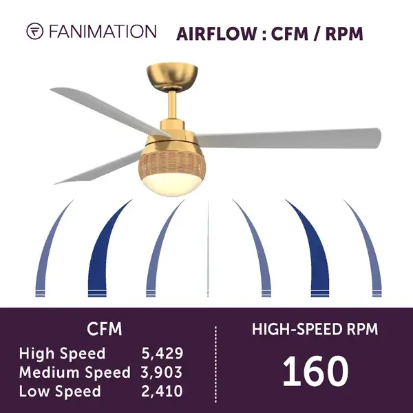 Paget™ 52" Damp Rated Ceiling Fan with LED Light - Image 7