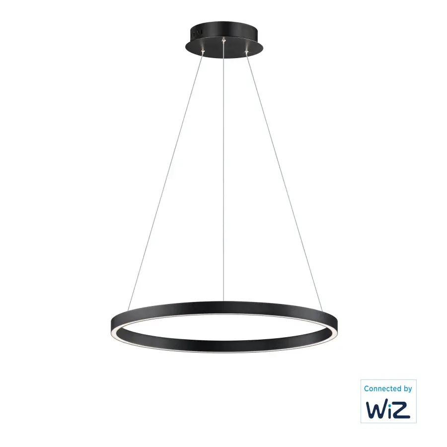 Groove WiZ 24" LED Smart Pendant - Image 1