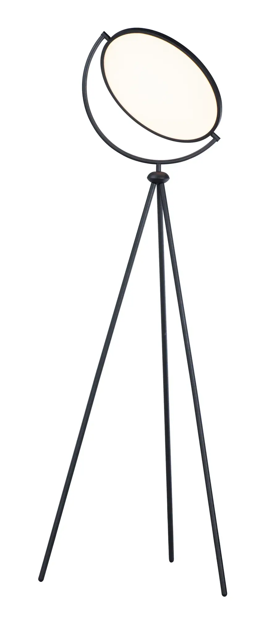 Paddle LED Floor Lamp in Black - Image 1