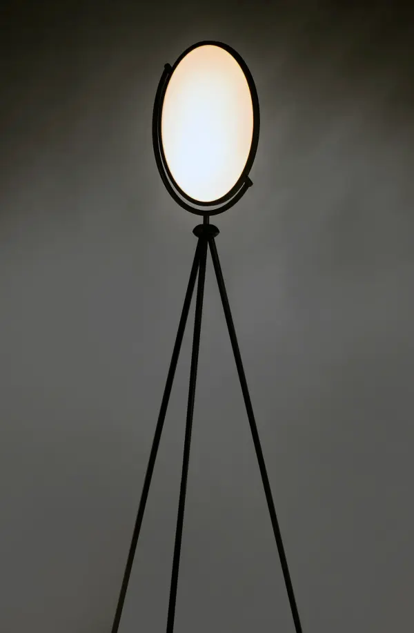 Paddle LED Floor Lamp in Black - Image 3
