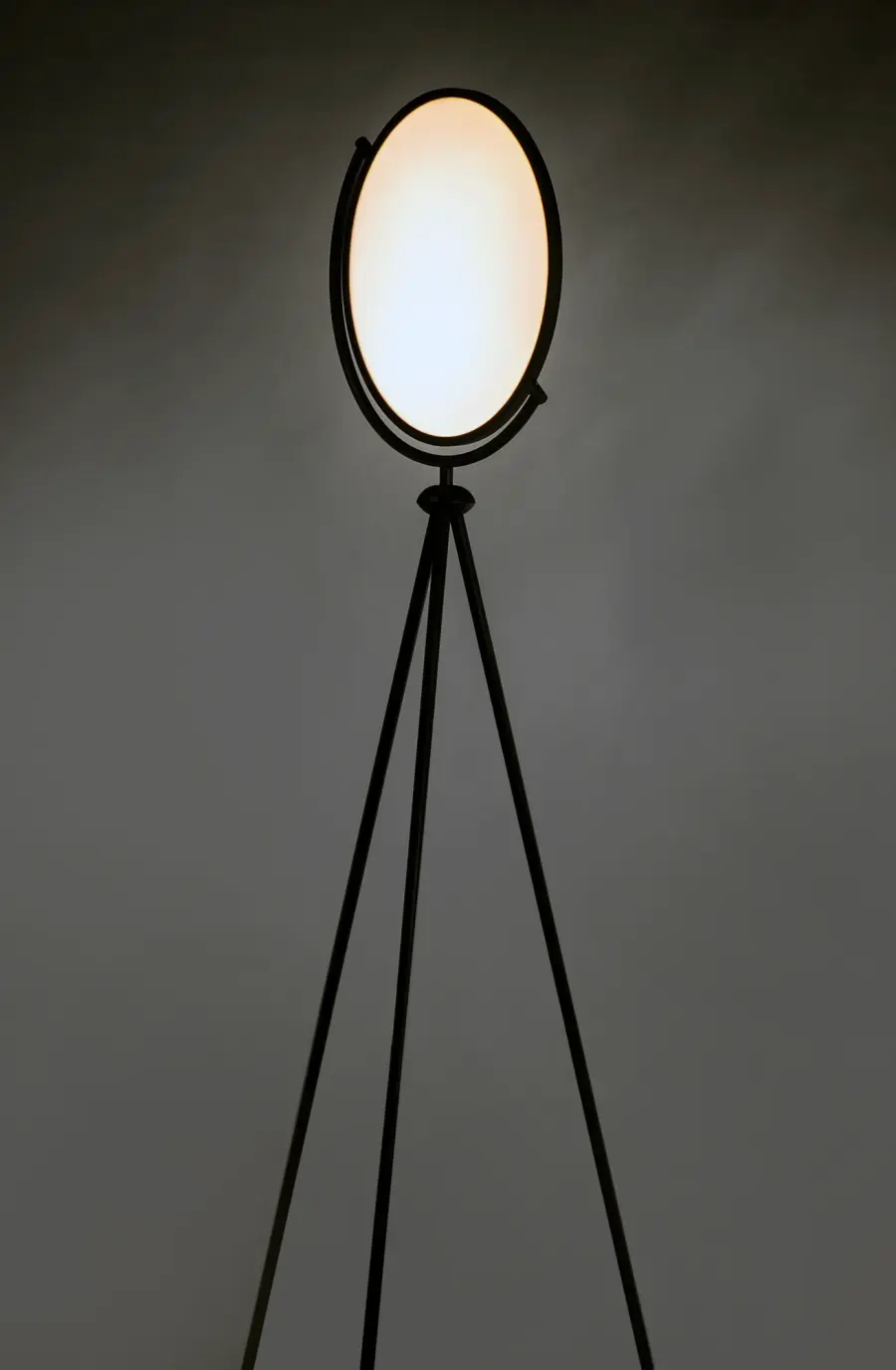 Paddle LED Floor Lamp in Black - Image 3