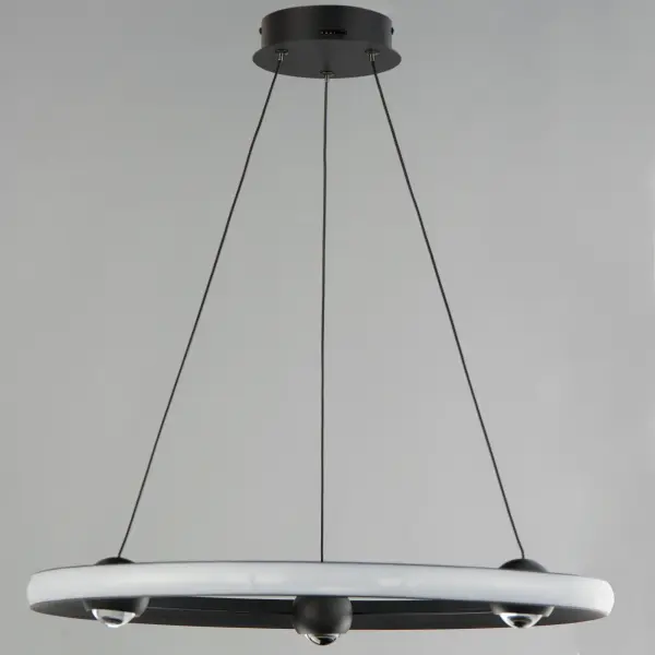 Nodes Ring Pendant - 24" LED - Image 3