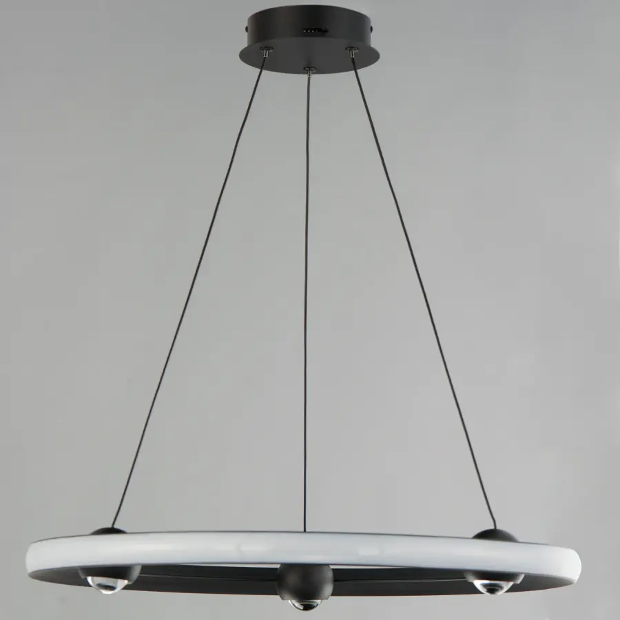 Nodes Ring Pendant - 24" LED - Image 3