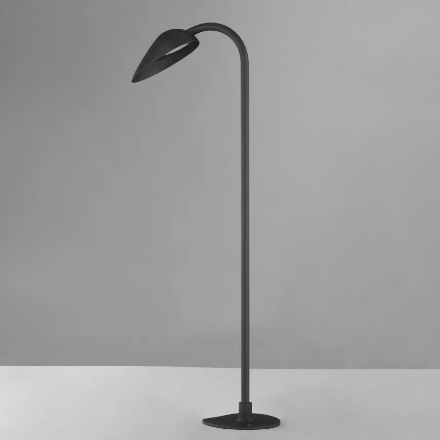 Modern Biophilic Design Meets Functional Outdoor Illumination - Image 2