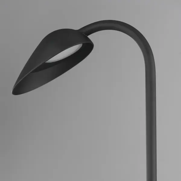 Modern Biophilic Design Meets Functional Outdoor Illumination - Image 4