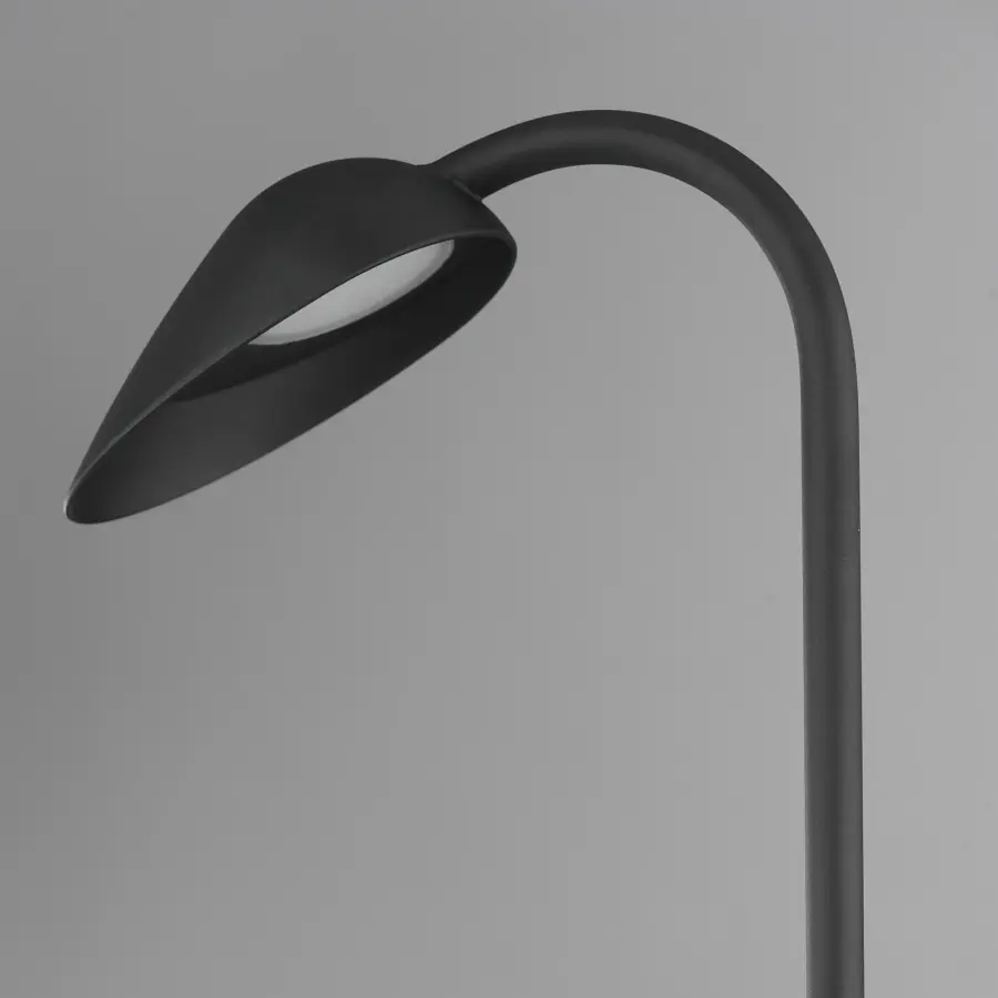 Modern Biophilic Design Meets Functional Outdoor Illumination - Image 4